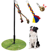 SYOOY tether outdoor dog toy pole in a yard for independent exercise