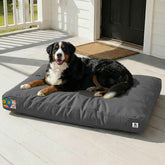 Sytopia 47-inch canvas dog bed front view for XXL dogs, sturdy lounge option.