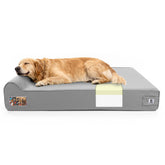 Sytopia 7-inch orthopedic foam-core bed provides strong support for large dogs.