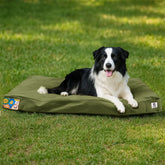 Sytopia canvas dog bed outdoors in green for durable comfort.