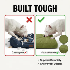 Sytopia dog bed with chew-proof surface for durable play.