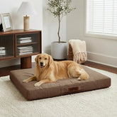Sytopia Indestructible 42-inch bed with waterproof cover protecting the foam.