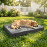 Sytopia 42 inch indestructible dog bed with chew resistant canvas for large chewers.