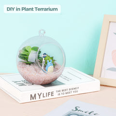 T4U plant decor with crystal chips enhances succulent planters