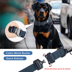 Tacwild collar shows D-ring attachment for secure leash connection during walks.