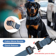 Tacwild heavy-duty collar with D-ring for secure leash attachment