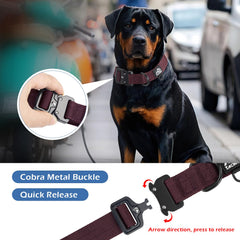 Tacwild collar D‑ring for easy tag attachment during activities.