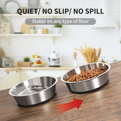 Taglory two-pack dog bowls for convenient feeding of water and food