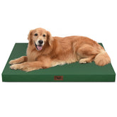 Tail Stories outdoor dog bed, 44x32 inch, outer view for large dogs.