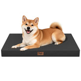 Tail Stories outdoor dog bed with waterproof Oxford cover for crate use and outdoor naps.