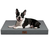 Tail Stories waterproof Oxford bed for outdoor use protects against spills and accidents.