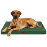 Tail Stories outdoor extra large dog bed shown with waterproof fabric and outdoor versatility