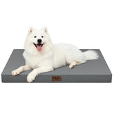 Tail Stories cover shows tough 600D fabric for easy cleaning and daily use.