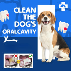TailParty single-source protein chews designed for sensitive stomachs