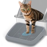 TAILRYTH elevated litter box ramp for kittens enabling safe, easy entry