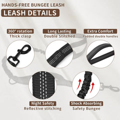Tails & Tales bungee elastic leash reduces jerk during runs