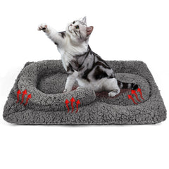 TailTastic self-warming bed mat with U pillow offering ergonomic neck support for indoor cats.