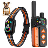 Tallentrol 2-in-1 dog bark collar on a dog's neck showing adjustable strap for training.