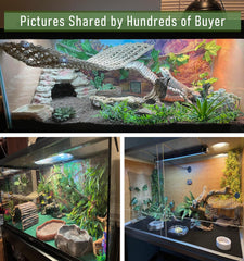 TankMatDecor hanging plant adds natural décor and hiding spots.