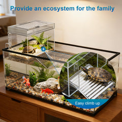 TAOKEKE transparent acrylic turtle platform allows clear viewing of basking