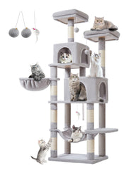 Taoqimiao 66-Inch cat tree base stability keeps active cats safe during play.