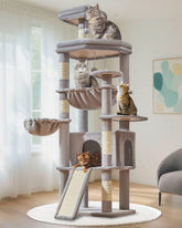 Taoqimiao 72-inch cat tree base view for stable multi-cat play.