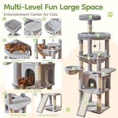 Taoqimiao top platform provides high lookout for curious cats.
