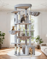 Taoqimiao 72-inch top viewing platform provides a wide view and cozy resting spot.