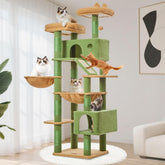 Taoqimiao cactus cat tree 71-inch front view showing multi-cat lounging space