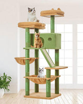 Taoqimiao Cactus Cat Tree top perches offer elevated views for indoor cats