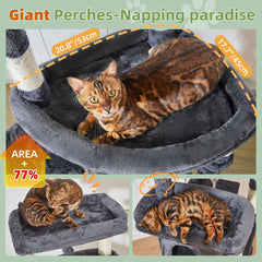 Taoqimiao giant lookout perch offers high vantage for curious cats.