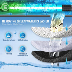 TARARIUM turtle filter bottom filtration removes waste