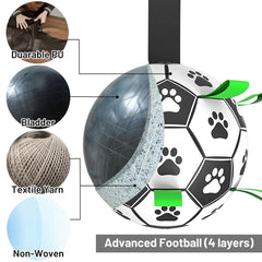 TBC PET dog soccer ball pump needle included for quick inflation.