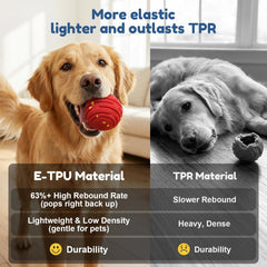 TBC PET Interactive Dog Ball standard mode offers gentle bounce for ongoing play