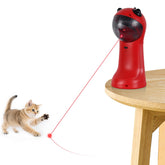 TBTeek automatic-rotation cat toy keeps indoor cats active and engaged.