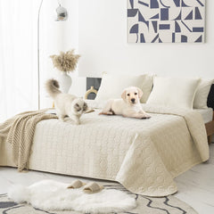 Tcksstex waterproof anti-slip dog bed cover on a sofa protecting furniture