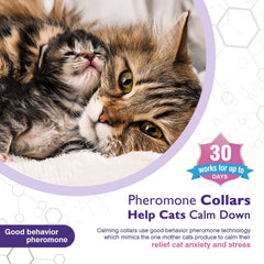Tcllka calming collar pheromone release provides ongoing support during stressful moments.