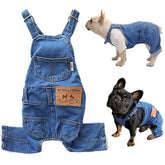 Tealots denim overalls for dogs with four-leg pants in blue for a street-ready look.