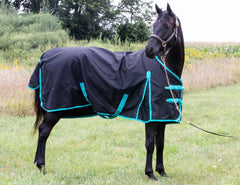 Tech Equestrian rainsheet front closure demonstrates adjustable buckles and Velcro for secure fit.