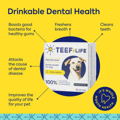 TEEF FOR LIFE Protektin42 scoop dispense for quick, mess-free dosing.