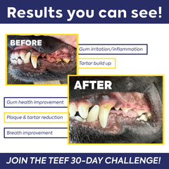 TEEF Protektin42K cat dental care with plant-derived formula
