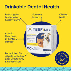 TEEF Protektin42K powder added to dog water supports daily dental care