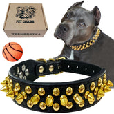 TEEMERRYCA black leather dog collar with gold spikes, stylish daily wear and safety