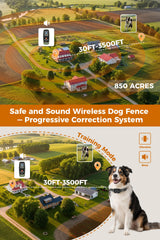 Teendow electric perimeter collar clearly indicates battery and mode at a glance.
