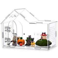 Teenyyou spider enclosure front view showing spacious, clear observation space for behavior