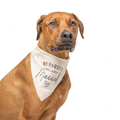 Tees & Tails adjustable dog triangle showing roll-and-tie fit for photos