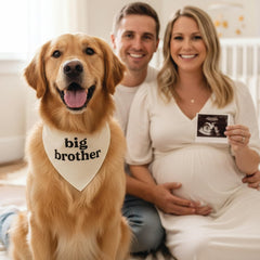 Tees and Tails matching family apparel idea for festive photos and events