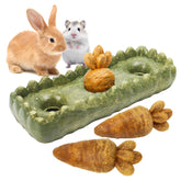 TEEWY guinea pig chew carrot 1 boosts dental health and playful enrichment