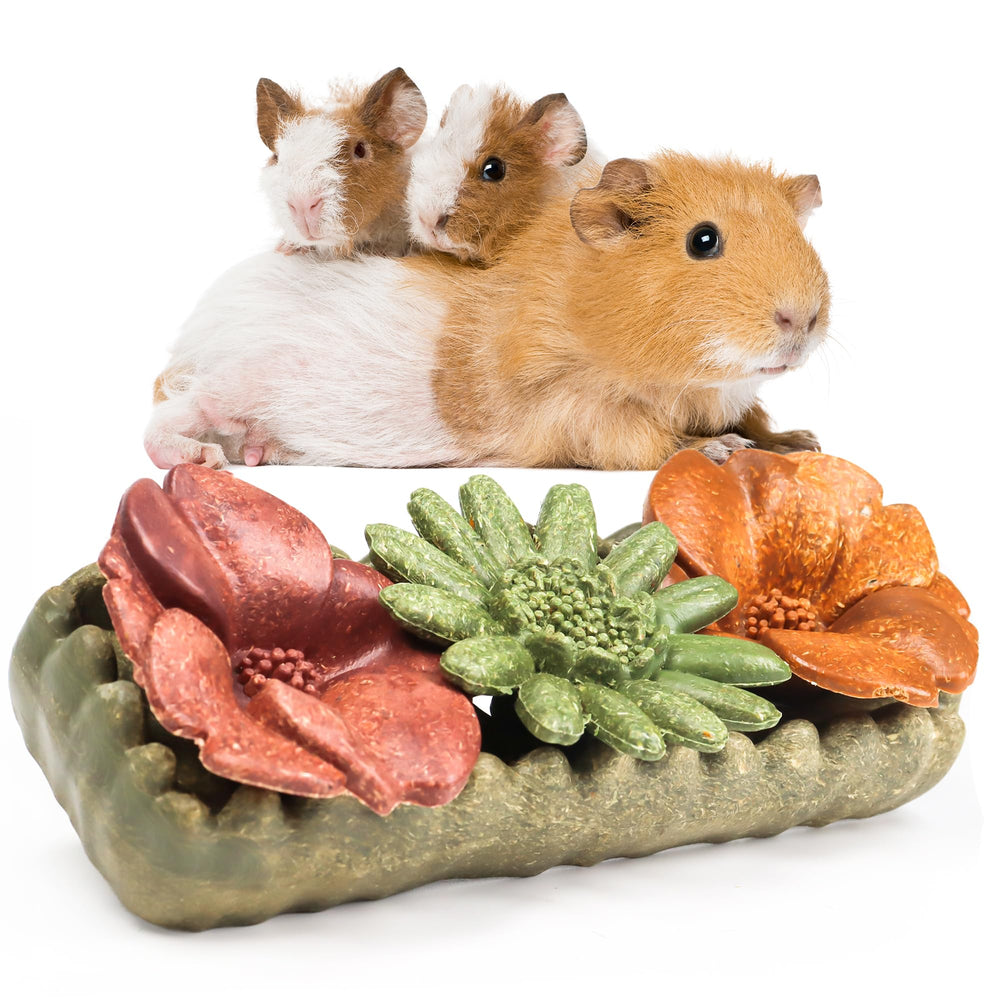 TEE WY guinea pig chew flowers for enrichment with a crunchy texture.