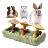 TEE WY guinea pig chew toys with mushroom shapes for engaging chewing.